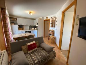 salon z kanapą i kuchnią w obiekcie Appartement cosy avec Multi Pass offert, à 10 minutes du centre de Châtel et proche des remontées - FR-1-693-7 w mieście Châtel +6 zdjęć
