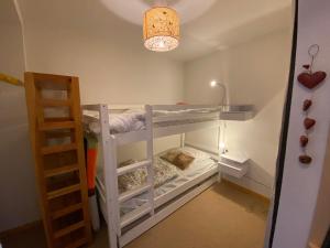 Pokój z 2 łóżkami piętrowymi i drabiną w obiekcie Appartement cosy avec Multi Pass offert, à 10 minutes du centre de Châtel et proche des remontées - FR-1-693-7 w mieście Châtel