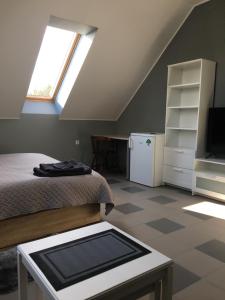a bedroom with a bed and a tv and a window at Klykių apartamentai in Inkartai