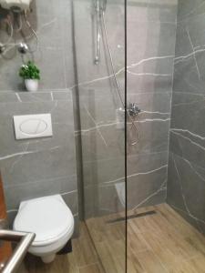 a bathroom with a shower with a toilet and a glass door at President Kop Miki in Kopaonik