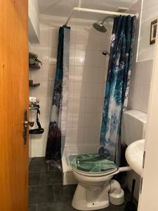 a bathroom with a shower with a toilet and a sink at Köln Apartment I in Cologne +4 photos