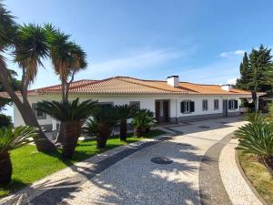a house with palm trees and a driveway at Neves by BCA Villas in São Gonçalo