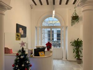 a christmas tree in a room with a window at BF BOUTIQUE JEREZ in Jerez de la Frontera