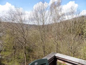 a green chair sitting on top of a wooden deck with trees at chalet 282 - La Boverie in Rendeux
