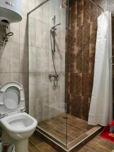 a bathroom with a toilet and a shower at Tsaghkadzor Kechi Apartment 136 in Tsaghkadzor