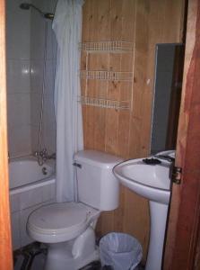 a bathroom with a toilet and a sink at Hostal Quillelhue in Pucón