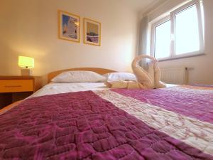 Fotografie z fotogalerie ubytování APARTMENTS KAY v destinaci Baška