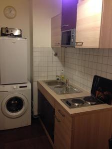 een kleine keuken met een wastafel en een wasmachine bij City Apartment in Nürnberg Am Plärrer in Neurenberg