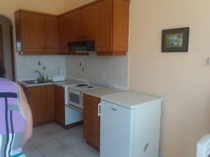 A kitchen or kitchenette at Irini's Appartment 2