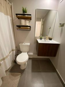 a bathroom with a toilet and a sink and a mirror at Acogedor departamento completamente equipado in Villarrica