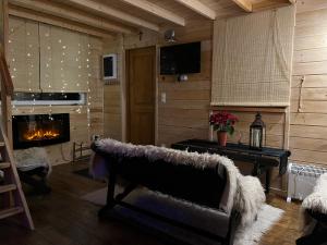 a living room with a couch and a fireplace at Domek wypoczynkowy - Stajnia Magenta 