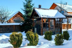 Krokus house v zime
