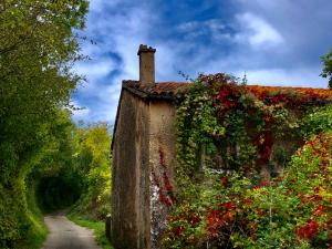 Fotografie z fotogalerie ubytování Villa Paradiz v destinaci Labin