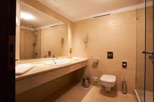 bagno con lavandino, servizi igienici e specchio di Petrodava ONE a Piatra Neamţ