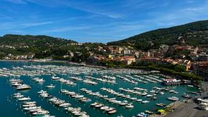 an aerial view of a harbor filled with boats at B&B Camera Bellavista in Lerici