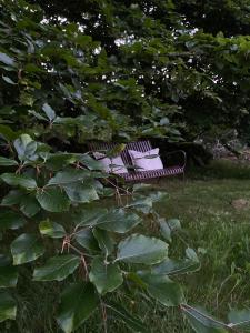 Zahrada ubytování Österlen - Bästekille backar