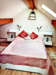 a bedroom with a large bed with red pillows at Chaleureuse Maisonnette Lyon in Meyzieu