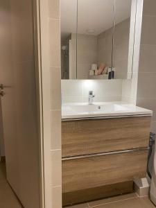 uma casa de banho com um lavatório e um espelho em Monaco Grand Prix Nouveau em Beausoleil