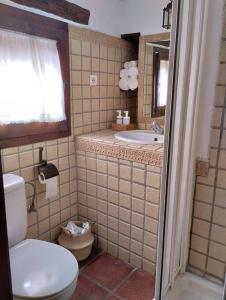 a bathroom with a toilet and a sink and a mirror at Casa Harillo-Charming 1 bedroom in Genal mountains in Genalguacil