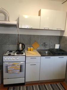 uma cozinha com um fogão e um lavatório em STUDIO APARTMAN MARINJAK em Belišće