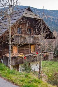 a large wooden house with trees in front of it at Apartment Sigrid in Arriach