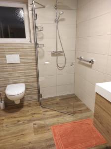 een badkamer met een douche en een toilet bij Sonja´s Ferienwohnung in Patergassen