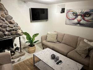 soggiorno con divano e pittura per gatti di Plomben B a Båstad