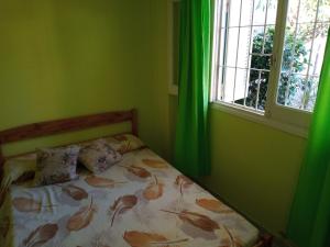 Un dormitorio con una cama con paredes verdes y una ventana en Casa tres ambientes con jardín y estacionamiento en Mar de Ajó