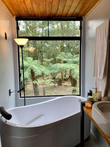 舊金山德保的住宿－Pousada Alpes da Araucárias，带浴缸的浴室和大窗户