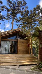 a house with wooden steps and two palm trees at Pousada Alpes da Araucárias in São Francisco de Paula +21 photos