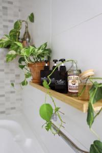 a bathroom counter with a shelf with bottles of soap and a plant at Jungle in Town - Central Jaffa in Tel Aviv