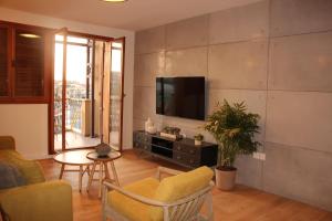 特拉維夫的住宿－Jungle in Town - Central Jaffa，客厅的墙上配有电视