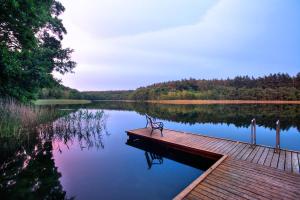 een bank op een steiger op een meer bij Jagdschloss Waldsee in Waldsee