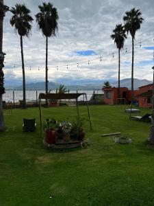 a yard with palm trees and a picnic table with plants at Hotel Villas Ajijic, Ajijic Chapala Jalisco in Ajijic