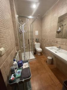 La salle de bains est pourvue d'une douche, d'un lavabo et de toilettes. dans l'établissement Gurtxu Rooms by Sun Sebastián, à Saint-Sébastien