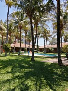 a park with palm trees and a swimming pool at BauHouse Asuncion in Asuncion