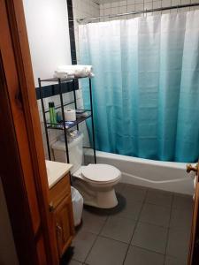 a bathroom with a toilet and a blue shower curtain at In the heart of nyc! Time sq, theater district, javits center in New York