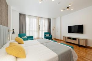1 dormitorio con 1 cama grande y TV de pantalla plana en Apartamentos Debambú, en Málaga