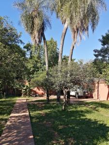 Сад в BauHouse Comfort Suites Asuncion
