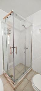 a glass shower in a bathroom with a toilet at Cabaña Le Betulle in San Martín de los Andes