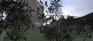 Vonkajšia záhrada v ubytovaní Πέτρα, Ελιά και Λεβάντα