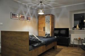 a bedroom with a bed and a television in it at Apartamenty Sudety in Bystrzyca Kłodzka