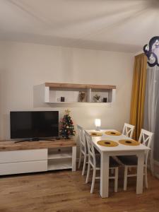 Телевизия и/или развлекателен център в APARTAMENT-SADOWA