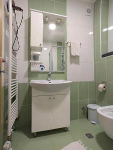 ein Badezimmer mit einem Waschbecken, einem Spiegel und einem WC in der Unterkunft LoRed apartment in Sarajevo