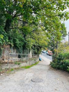 un camino de tierra con una valla, árboles y una calle en Chatham hilltop view en Chatham