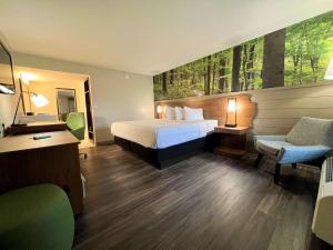 una camera d'albergo con letto e sedia di Best Western Tree City Inn a McMinnville