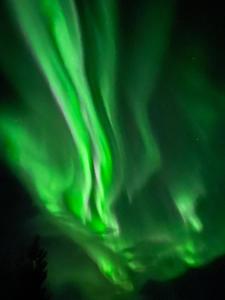 Imagen de la galería de Macktunet - Retro log cabin from the 70s in Malangen, en Lanes