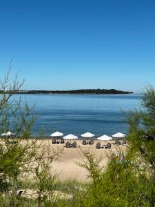 a beach with chairs and umbrellas and the ocean at Ambar Hotel in Punta del Este