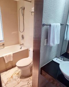 a bathroom with a toilet and a sink and a shower at Niagara Hotel in Seoul