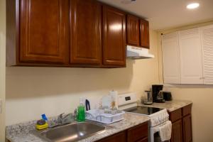 una cocina con armarios de madera y fregadero en Mamas Love Apartment en Newark